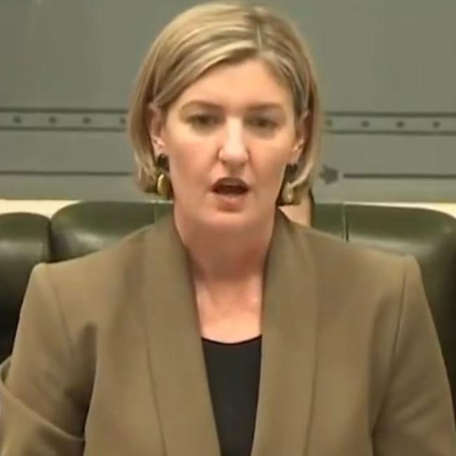 Health Minister Shannon Fentiman in state parliament. Picture: X