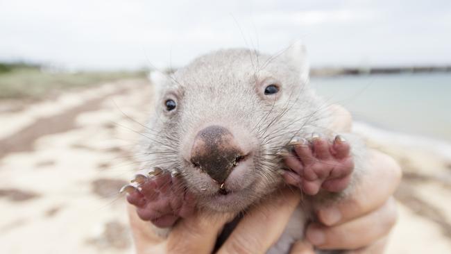 Gold Coast photographer Sean Scott has travelled the globe to capture wildlife, sunsets and sunrises and some of the most picturesque locations.