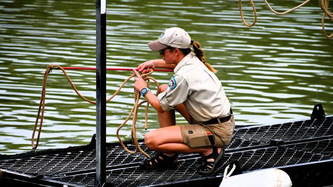 Ella Meeve, pictured attempting to remove a problem four-metre saltwater crocodile from a baited trap at Port Hinchinbrook, and fellow Wildlife Officers Ainslie Langdon, Kymberly Robinson and Jane Burns say they love the diverse nature of their jobs and the people they work with. Picture: Cameron Bates