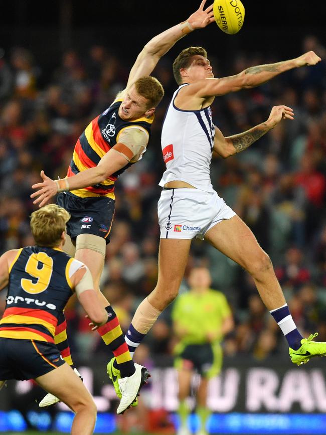 Reilly O'Brien in the ruck against Fremantle’s Rory Lobb. Picture: AAP Image/David Mariuz