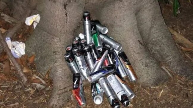 Some aerosol cans dump in the Southport Broadwater Parklands.