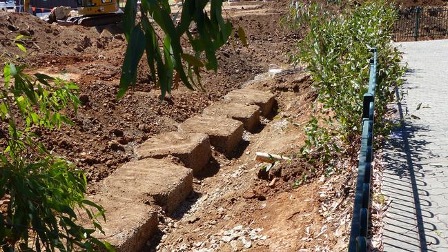 A garden bank project along Brownhill Creek at Hawthorn before it was destroyed by Mitcham Council work.