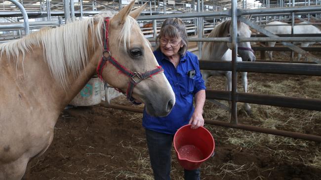 The Bairnsdale sale yards are being used to house dozens of horses from locals in the path of the fires. Emma Sztynda with one of her horses. Picture: David Crosling