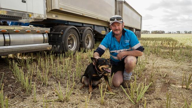 Warakirri Cropping farm manager Jono Robinson, of Donald, with his Kelpie Meggy. Picture: Rachel Simmonds