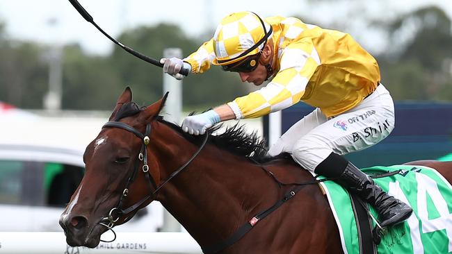 Lady Of Camelot has not win since the Golden Slipper in the autumn. Picture: Jeremy Ng/Getty Images