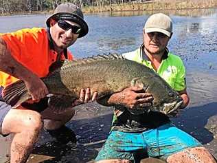 Fish relocation. Picture: Contributed