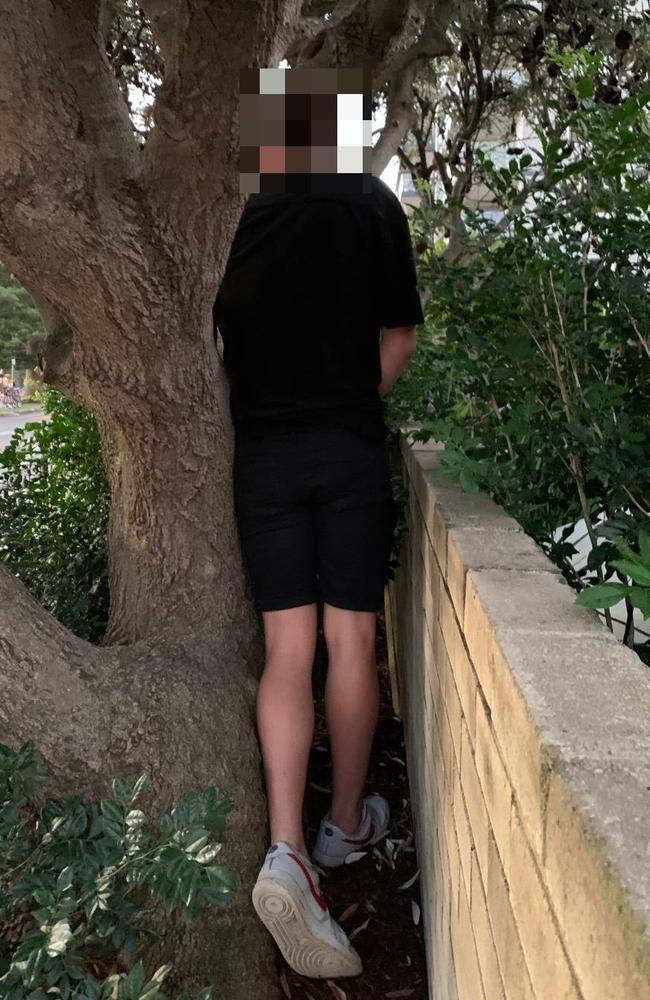 A man, photographed while urinating on a garden wall near the entrance to the Matthew Flinders apartment block opposite East Esplanade Park at Manly. Picture: Supplied