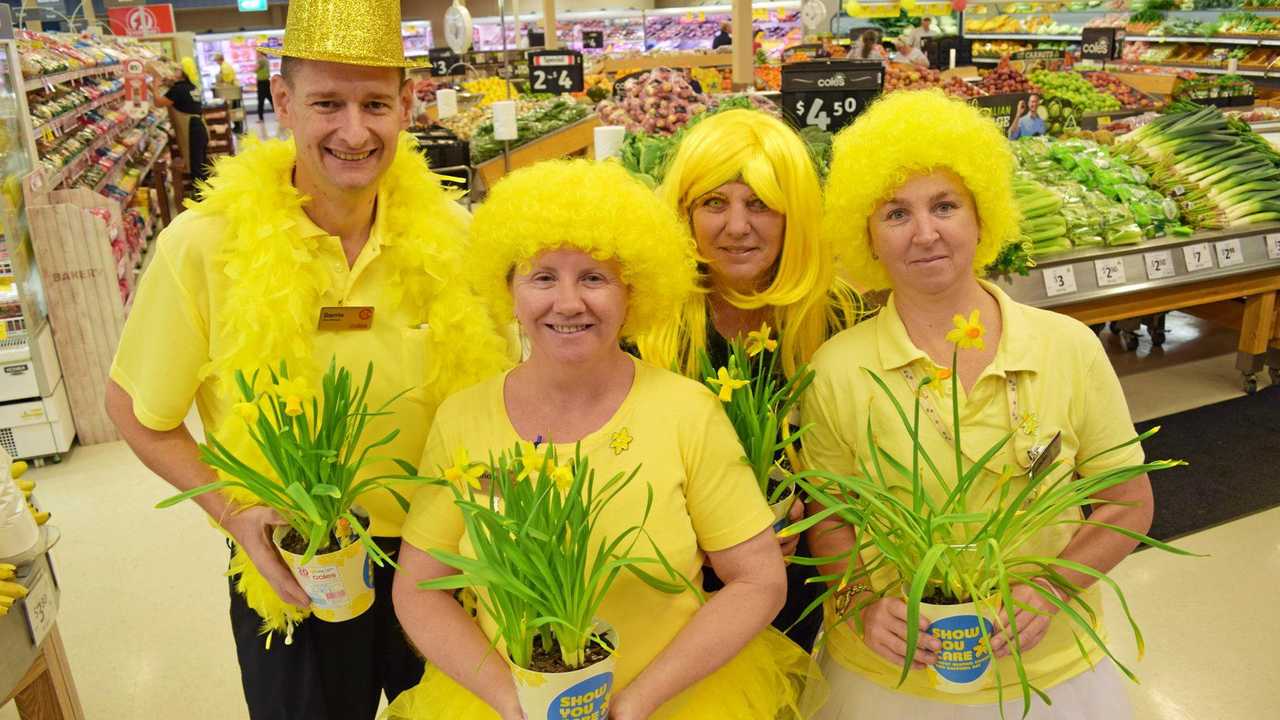 Grocer daffodil Our Services