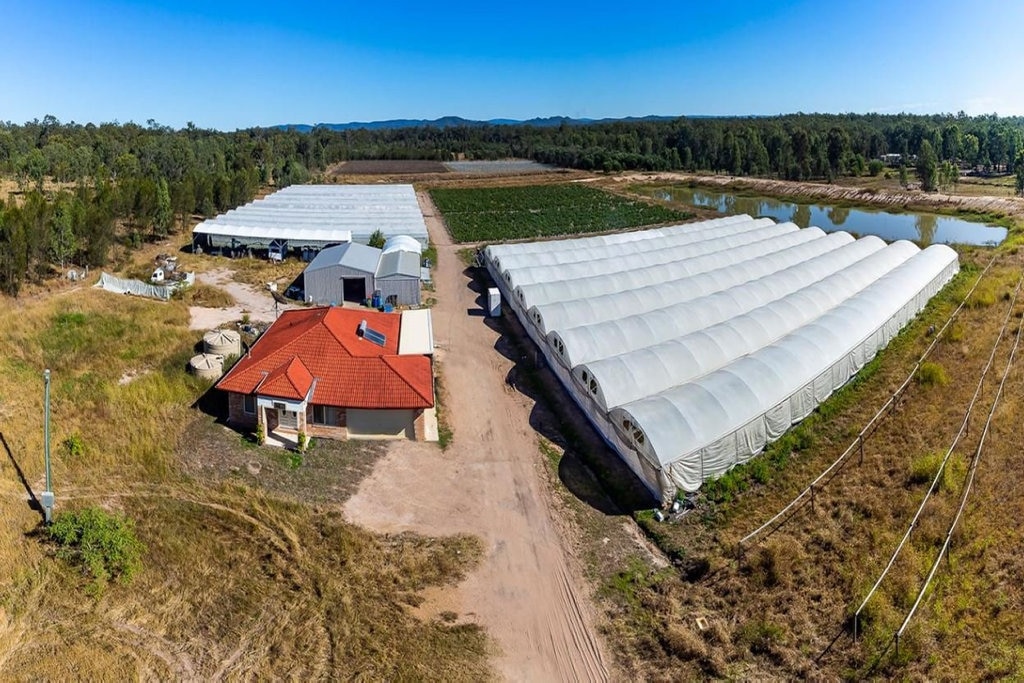 This cucumber farm at 5 Jamieson Road, Churchable, is for sale. Picture: Matthew Newton