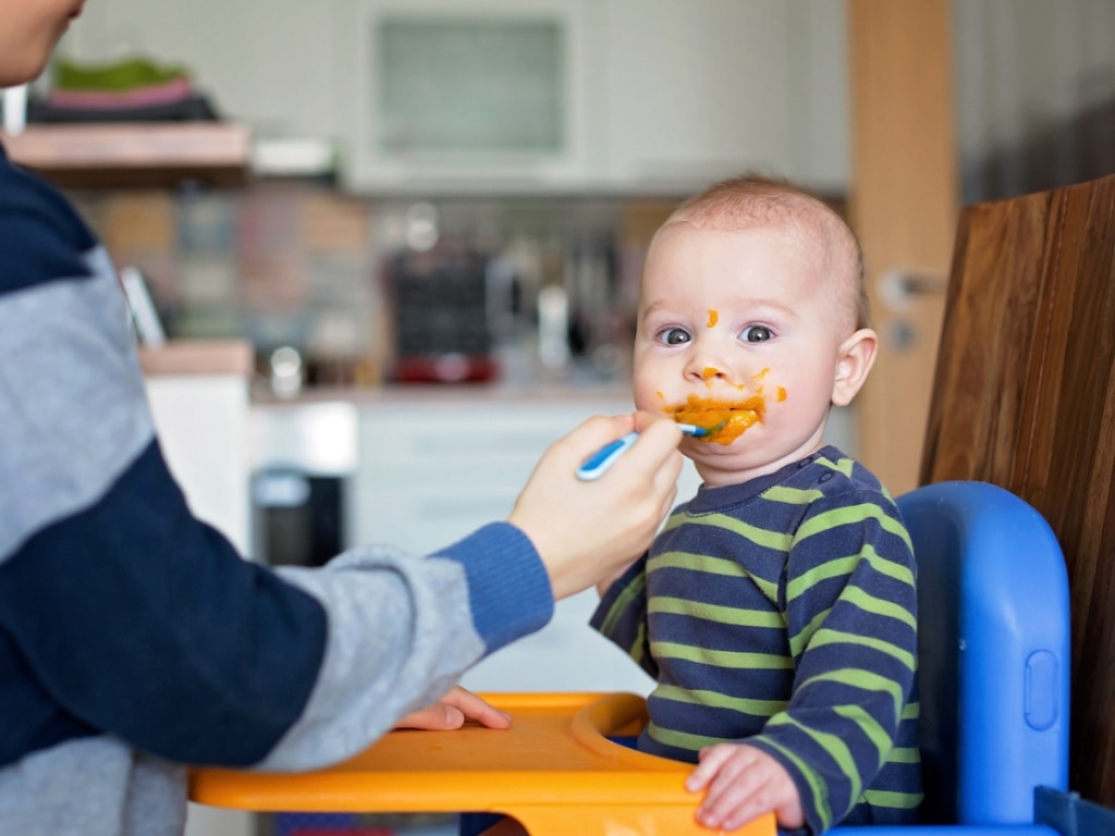  green sprouts Fresh Baby Food Mill - Easily Purees