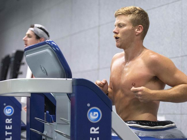 St Kilda training session inside due to poor air quality due to Victorian fires. Dan HANNEBERY in action. Picture: Sarah Matray.