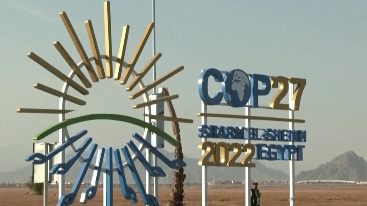 Egypt's COP27 is 'global epicentre of virtue-signalling'