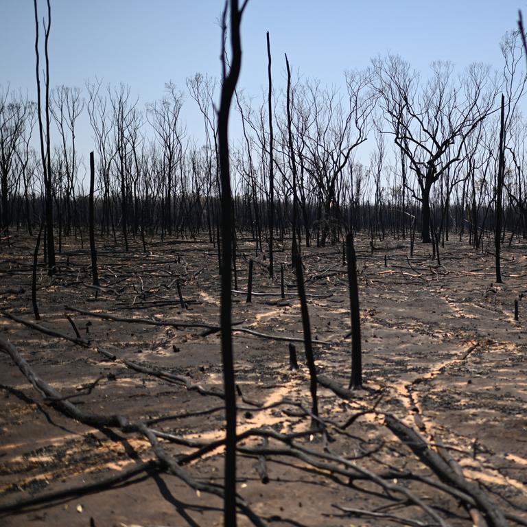 A bushfire affected area near Tara, Queensland, about 300 kilometres west of Brisbane. Fire fighters have been battling multiple bushfire in Queensland and NSW. Picture: NCA NewsWire / Dan Peled