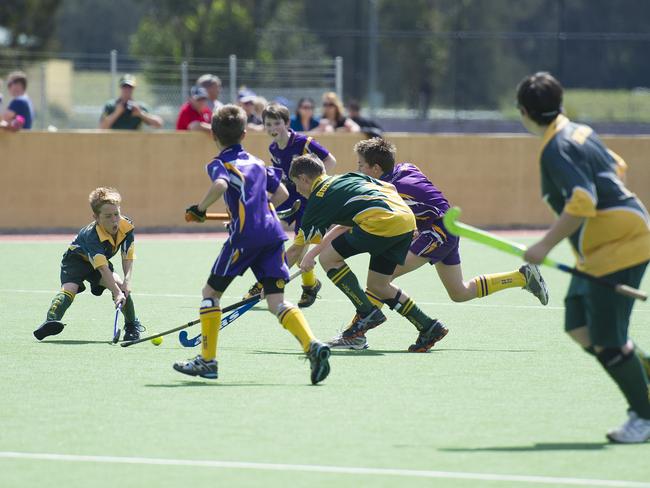 Macarthur Chronicle - Pictured: Action photographs - Ingleburn Bulldogs (green yellow) versus Harrington Park Hurricanes (purple) - Macarthur District Juniors hockey finals 2014 held at Millwood Avenue, Narellan NSW Australia