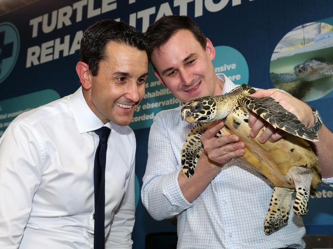 Leader of the Opposition David Crisafulli and Shadow Minister for Environment Sam O'Connor with Dennis the juvenile Hawksbill turtle, and Turtle Triage and Rehabilitation Centre co-founder Jennie Gilbert during a tour of Cairns Aquarium. Picture: Liam Kidston