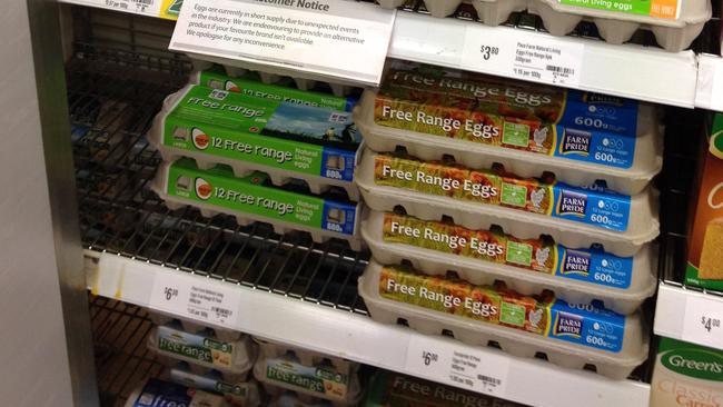 Egg shortage in shopping centres pic at Ascot Coles