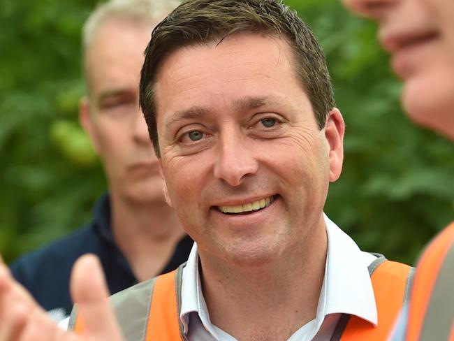 MELBOURNE, AUSTRALIA - NOVEMBER 15TH, 2022: Leader of the Liberal party Matthew Guy and Opposition Energy and Renewables Spokesman, David Southwick speak at a tomato greenhouse factory in Warrigul, Victoria.Picture: Nicki Connolly