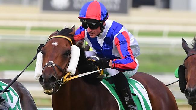 Soxagaon won again at Eagle Farm. Picture: Trackside Photography