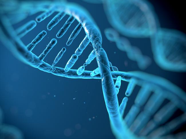 The hi-tech DNA database will improve the prevention, diagnosis and treatment of chronic disease. Picture: iStock