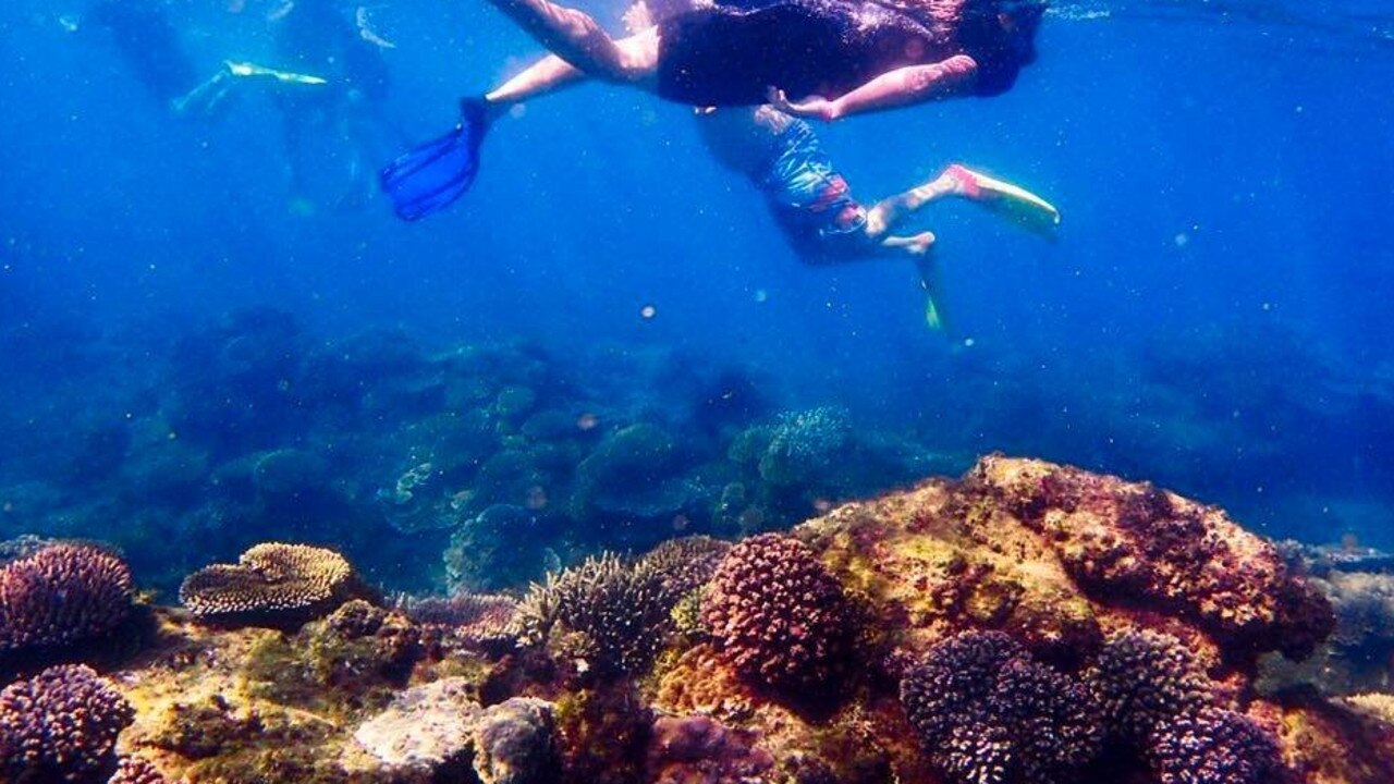 Underwater view of the coral reef at Great Keppel Island. Courtesy of Freedom Fast Cats.