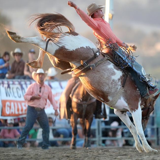 Will Crosby on Little Bob in the saddle bronc event. Picture: Yuri Kouzmin