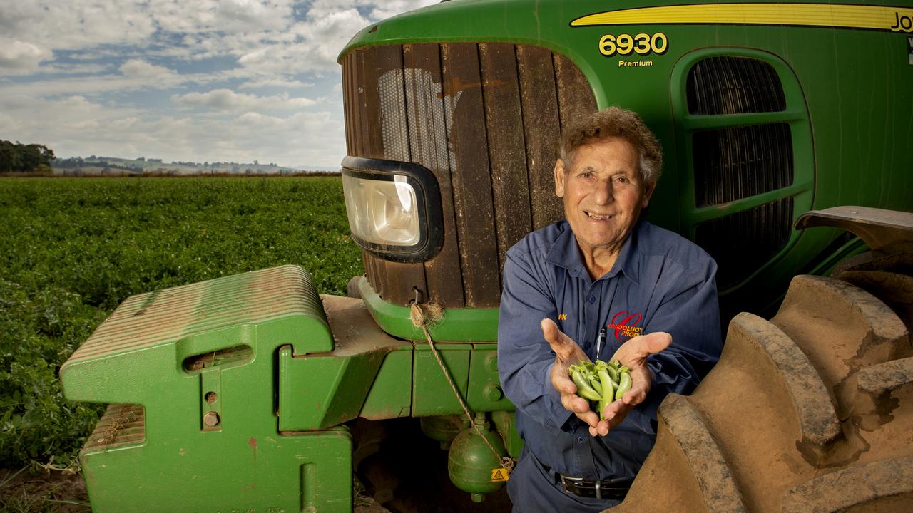 Frank Condoluci has been farming in Korumburra since moving to Australia in 1948 and is still very involved in farm operation. Picture: Zoe Phillips