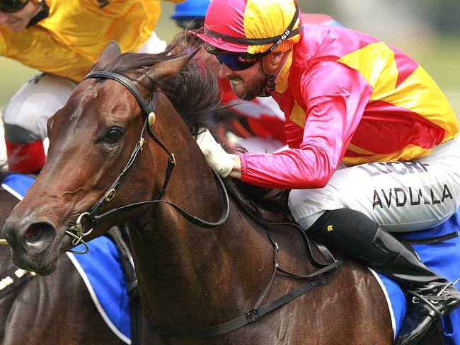 Bonny O'Reilly ridden by Brenton Avdulla wins race 4 at Rosehill Gardens. Pic Jenny Evans