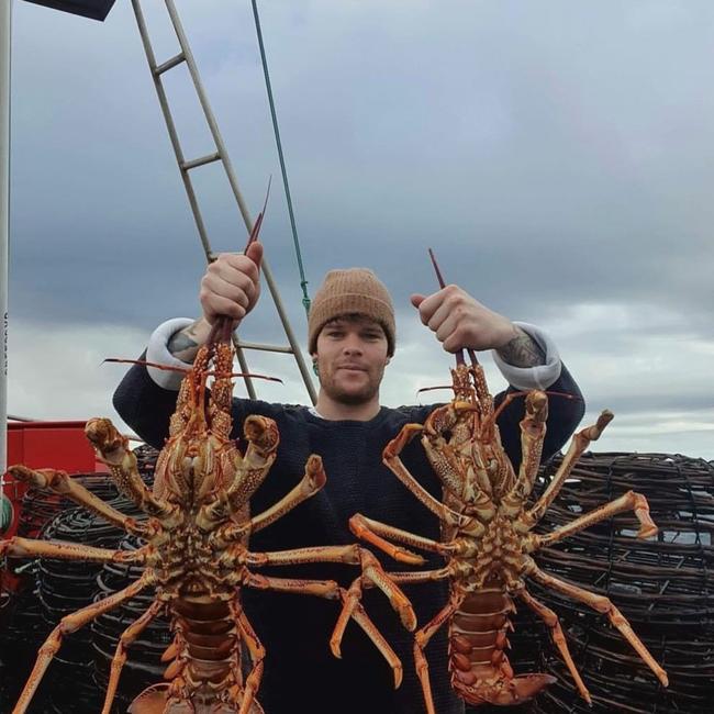 Steven Hursey pictured with some Tasmanian rock lobster. Photo: Supplied