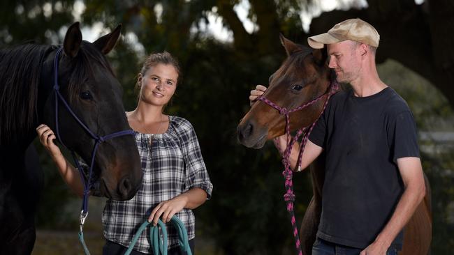 Horse trainer Sarah McEachern from Empathy Horsemanship with gelding Houdini and Windamere Horse Haven president David Mews with mare Holly. Picture: Naomi Jellicoe