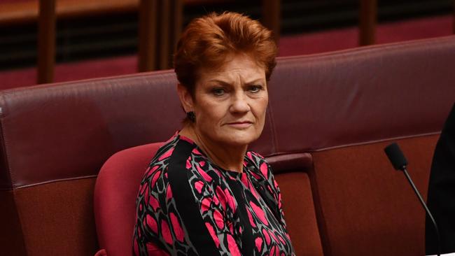 Pauline Hanson’s Four Corners: One Nation Accused Over Private Plane ...