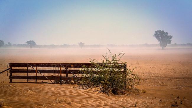 Drought has hit NSW communities hard in recent years