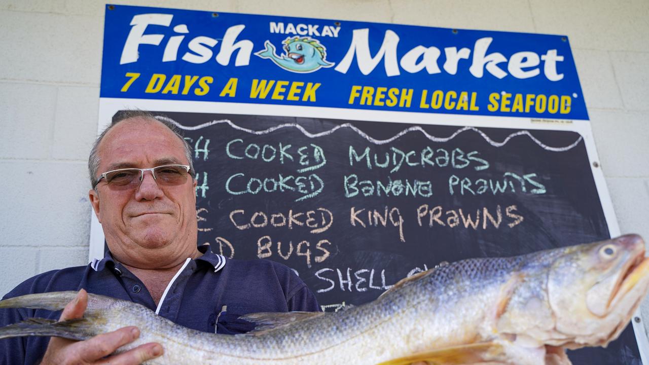 Mackay Fish Market owner David Caracciolo with a gold threadfin, also known as a King Salmon. Picture: Heidi Petith