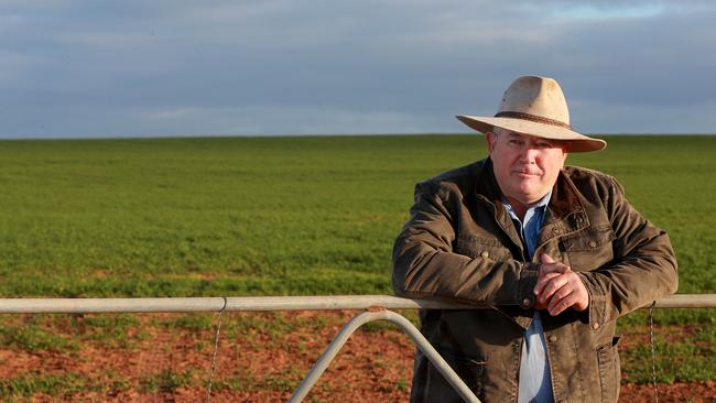 Leonard Vallance, in this file photo, says after 100mm of rain on January 1 his Mallee property has had no further falls, but he and other district croppers are nearly finished sowing.