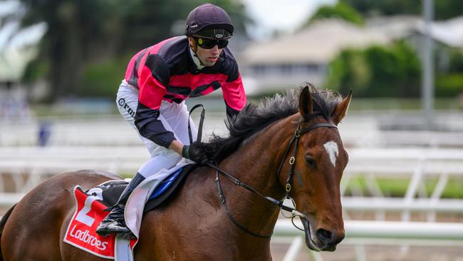 James Orman aboard I Am Artie for trainer Paul Jenkins. Picture: Racing Queensland.