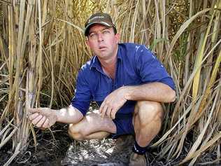 Bundaberg Farmer Dean Cayley with a dry sugar crop.