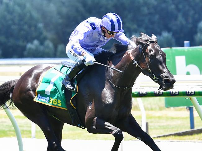 Kira and jockey Daniel Moor will reunite at Friday night's Pakenham meeting. Picture: Racing  Photos via Getty Images.