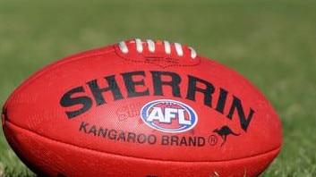 Meet the VAFA’s newest team