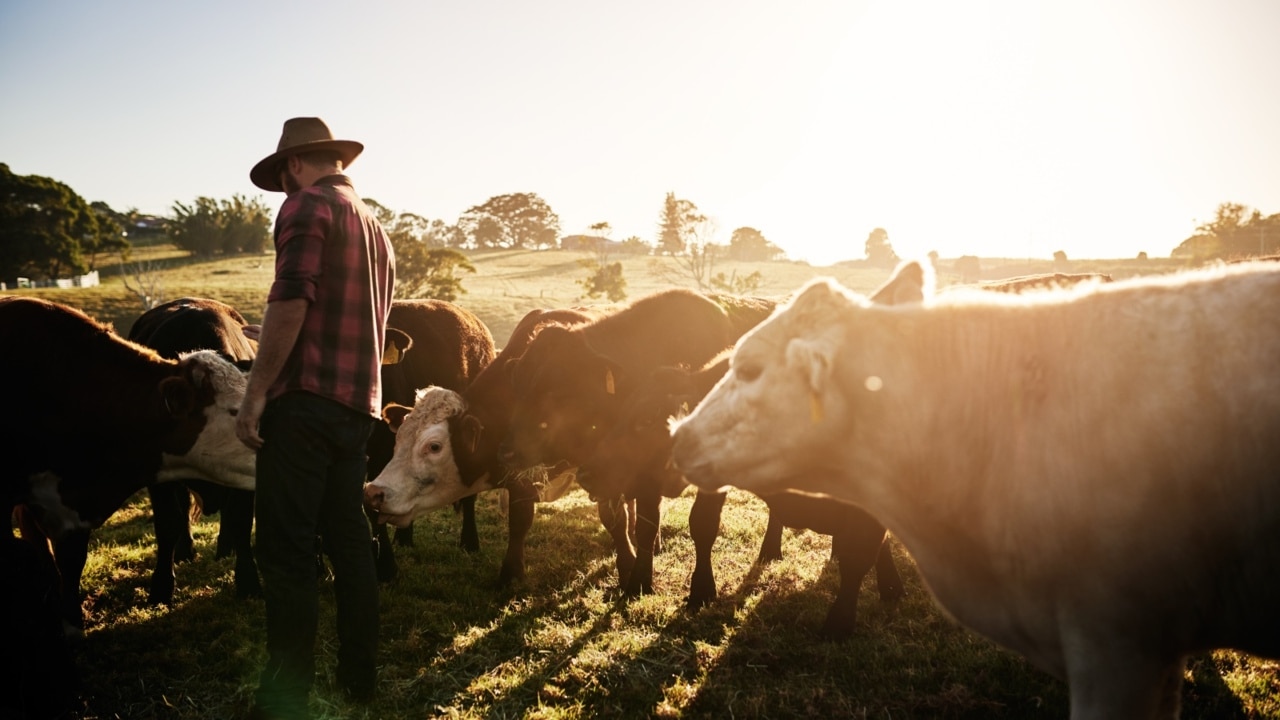 Dairy owner calls for big business to increase farmers' pay amid inflation