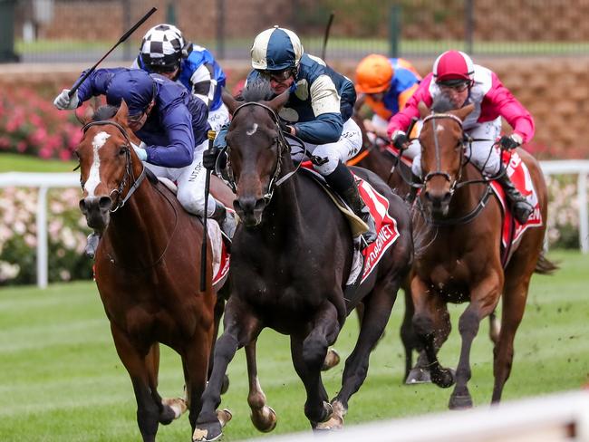 Sir Dragonet (IRE) ridden by Glen Boss wins the Ladbrokes Cox Plate at Moonee Valley Racecourse on October 24, 2020 in Moonee Ponds, Australia. (George Salpigtidis/Racing Photos via Getty Images)