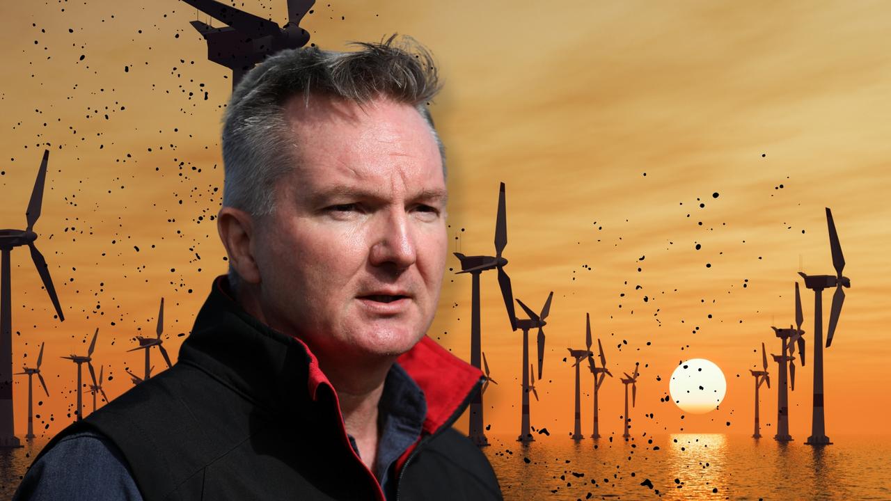 Bowen feels ‘silent’ wind at his back on green agenda