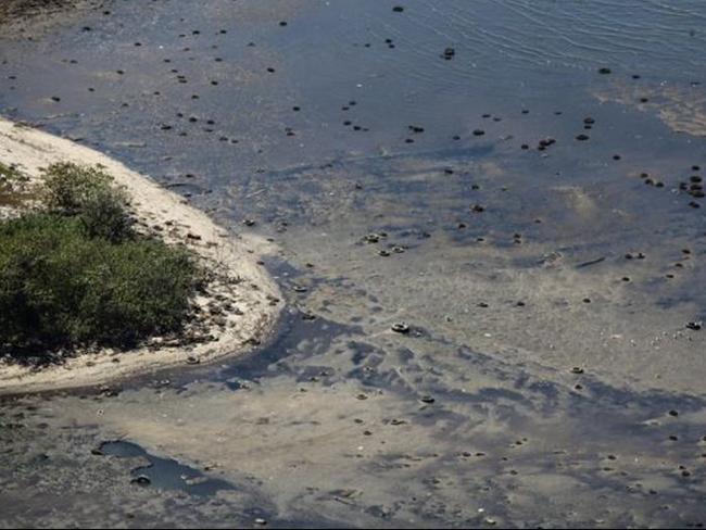 Guanabara Bay. Picture: Eliseu Cavalcante for Rio Gringa