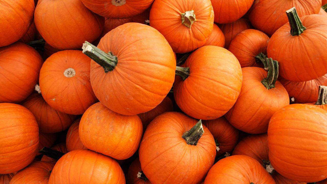 Carotenoids give pumpkins their bright orange colour.