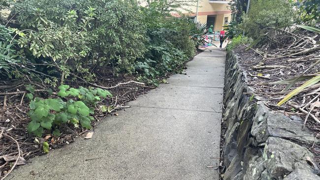 Part of a steep incline to access the Southern Cross University pre-poll booth in Lismore. Picture: Nicholas Rupolo.