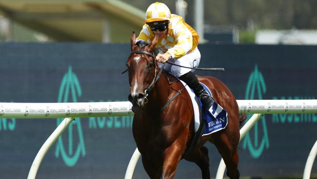 Brilliant filly Lady Of Camelot rounded out her Golden Slipper preparations with a sharp Hawkesbury barrier trial win on Monday morning Picture: Jeremy Ng