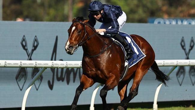 Storm Boy wins the San Domenico Stakes at Rosehill Gardens in August Picture: Getty Images