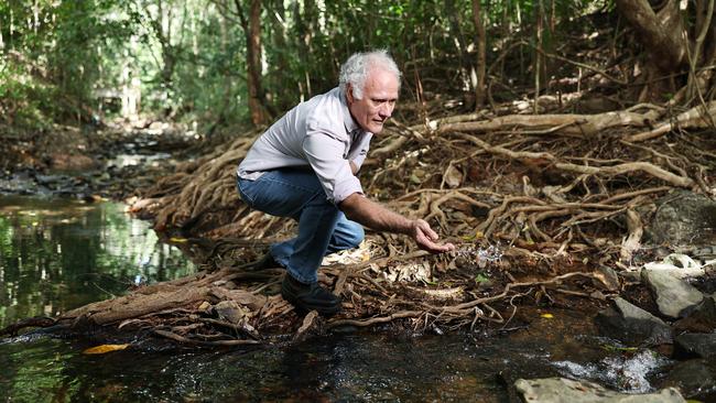 Regional Development Australia Tropical North and James Cook University have hosted the Regional Water Forum, bringing together industry leaders and representatives to discuss a long term vision for Far North Queensland's water allocation, sustainability and security. Professor Alan Dale from the Cooperative Research Centre for developing Northern Australia scooops a handful of water from Atika Creek, a freshwater stream that runs through James Cook University's Smithfield campus. Picture: Brendan Radke