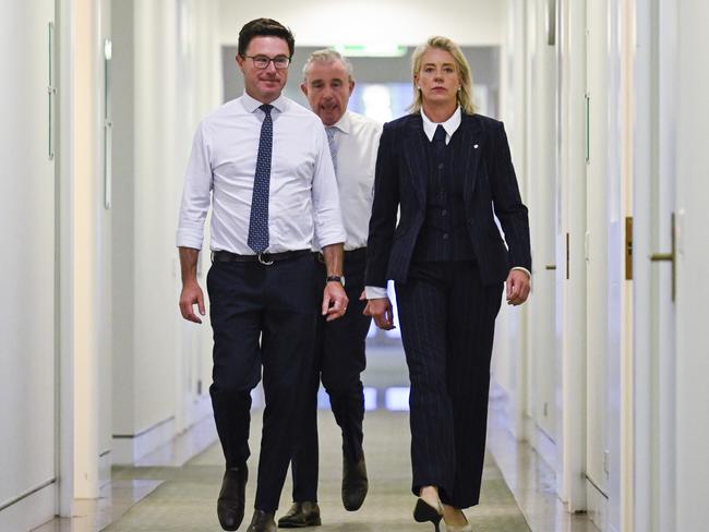 The Nationals ministers previously a part of the shadow and outer shadow ministry will face an almost 60k cut in their salary. Picture: NewsWire / Martin Ollman