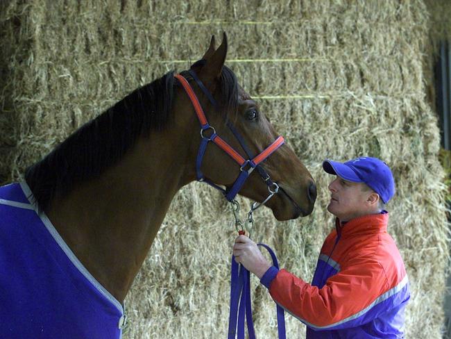 Racehorse Elvstroem with Tony Vasil at his Caulfield stables in Melbourne. Picture: Brett Hartwig