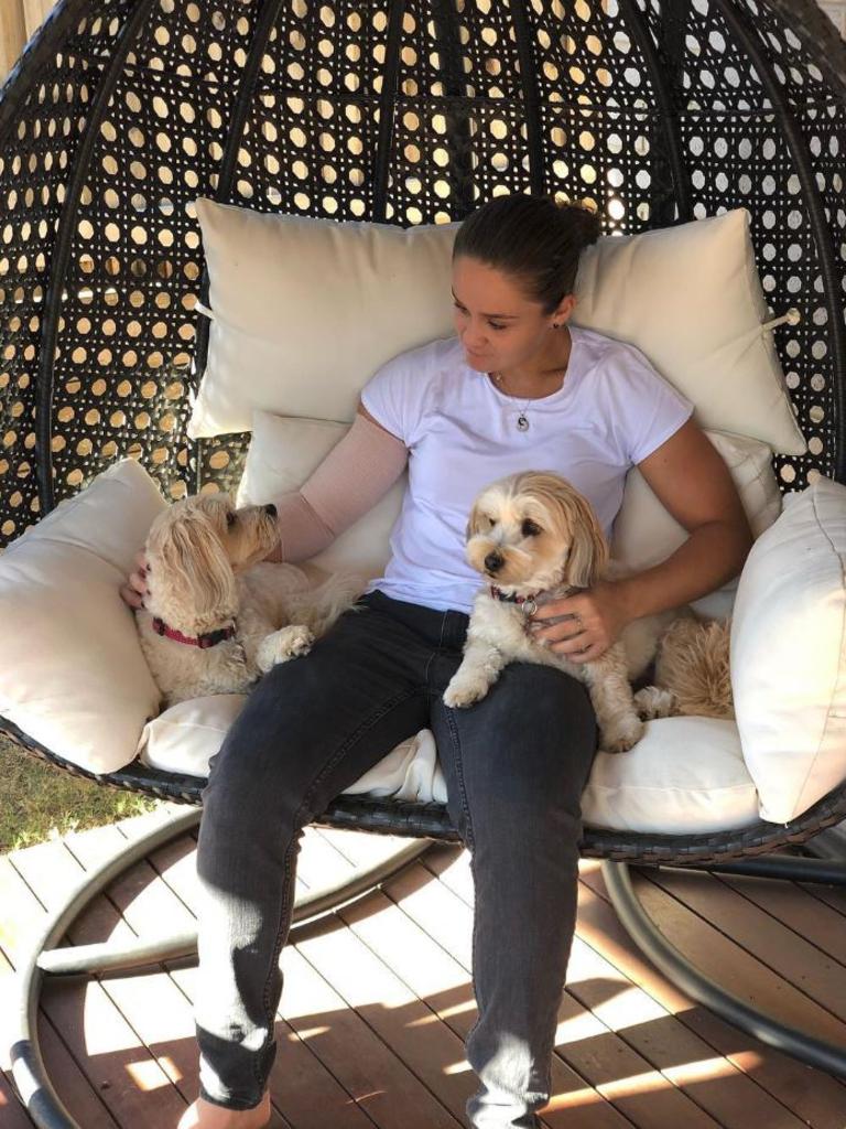Ash would love to take her dogs on tour. Picture: Instagram