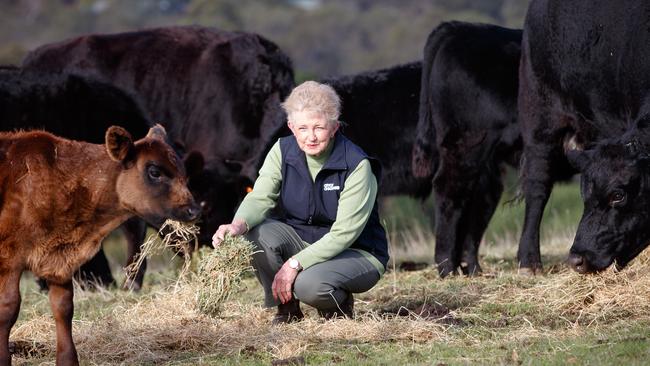 Lorraine Rosenberg with cattle at her Willunga Hill farm. Picture: Matt Turner